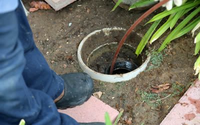 Sewer Line Repair
